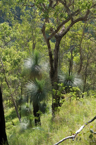 AustraliaEast 10  040